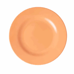Melamine Lunch Plate | Soft Apricot(Melamine Lunch Plate Soft Apricot)