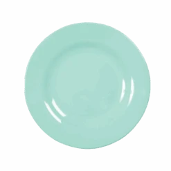 Melamine Lunch Plate | Dark Mint(Melamine Lunch Plate 1)