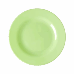 Melamine Lunch Plate | Neon Green(Melamine Lunch Plate Neon Green)