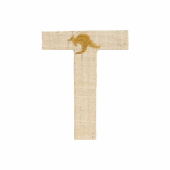 One Raffia Letter Sticker | Boy - T(One Raffia Letter Sticker Boy T)