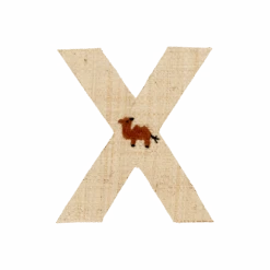 One Raffia Letter Sticker | Boy - X(One Raffia Letter Sticker Boy X)